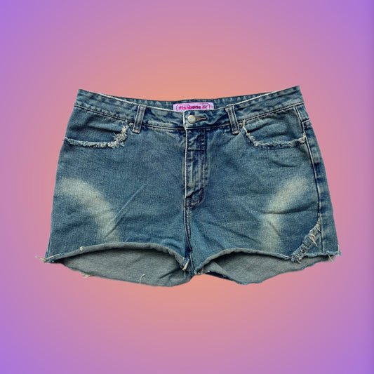 SHORTS L FISHBONE