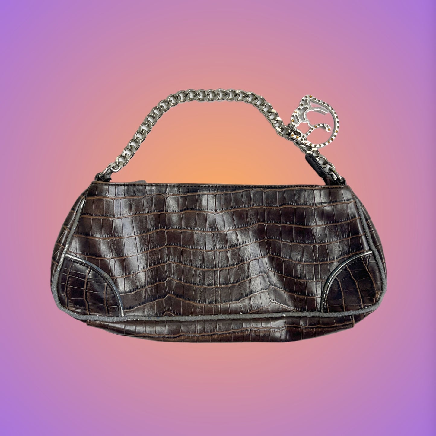 BAG S